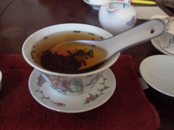茶に宿る健康力：茶ポリフェノールと現代養生の科学的融合