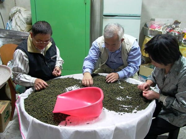 杉林渓・羊坑茶区探訪