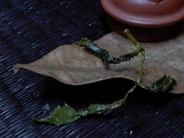 凍頂烏龍茶の黄金時代