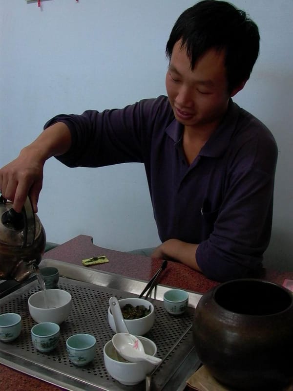 五種茶葉