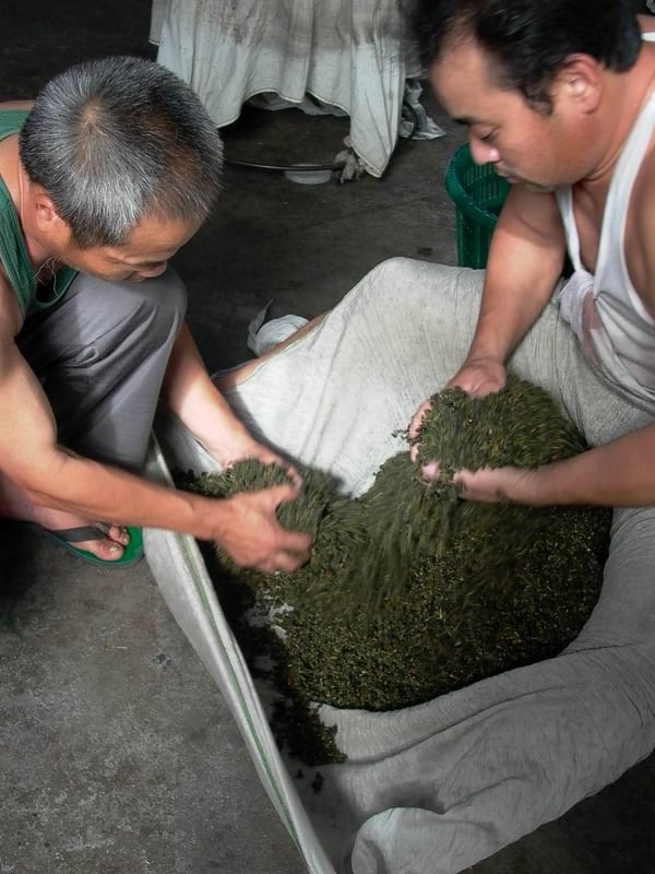 「脱ズボン茶」の由来