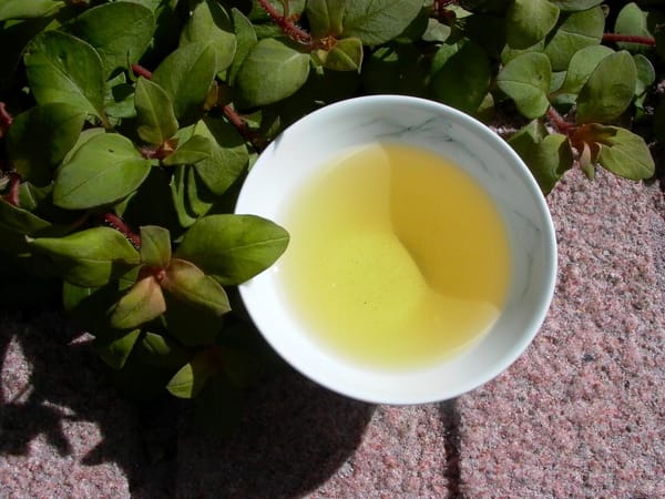 青心烏龍と金萱茶の風味差の解析