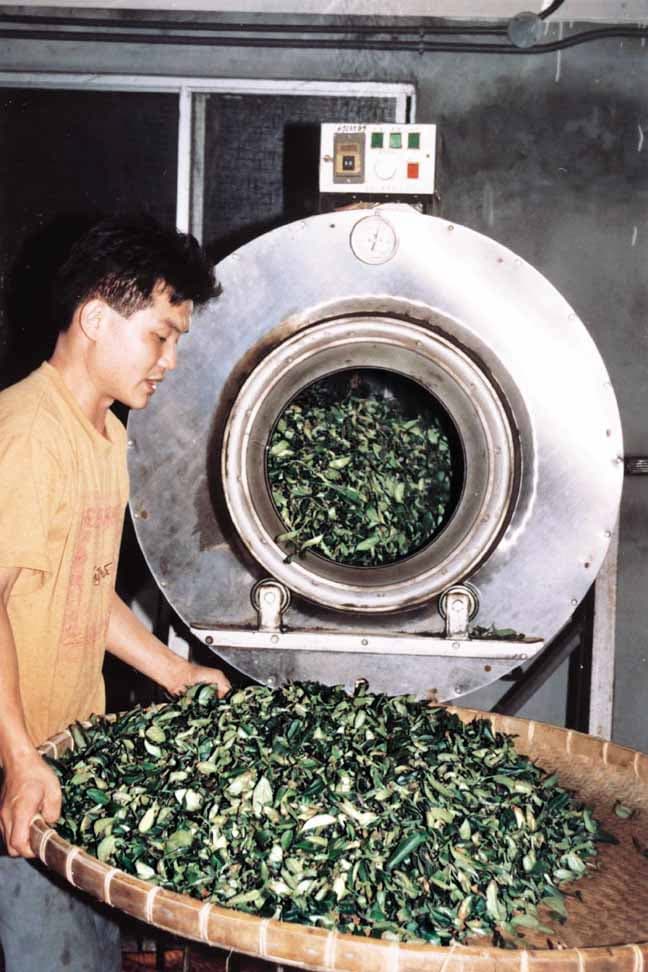 機械化は良い茶を作れるか？