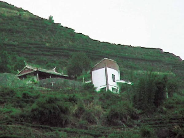 鉄観音茶園の風水学