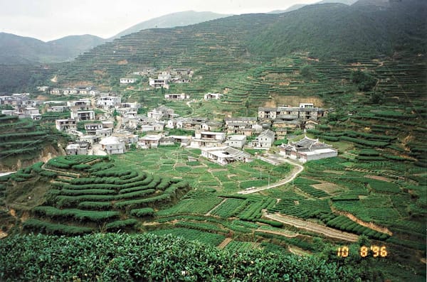 安渓土壌の秘密